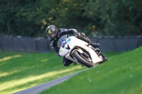 brands-hatch-photographs;brands-no-limits-trackday;cadwell-trackday-photographs;enduro-digital-images;event-digital-images;eventdigitalimages;no-limits-trackdays;peter-wileman-photography;racing-digital-images;trackday-digital-images;trackday-photos